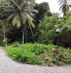 Seeduwa 15 Perches Residential Land