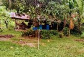 Kurunegala House and Land for Sale