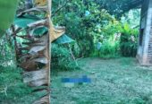 Kurunegala House and Land for Sale