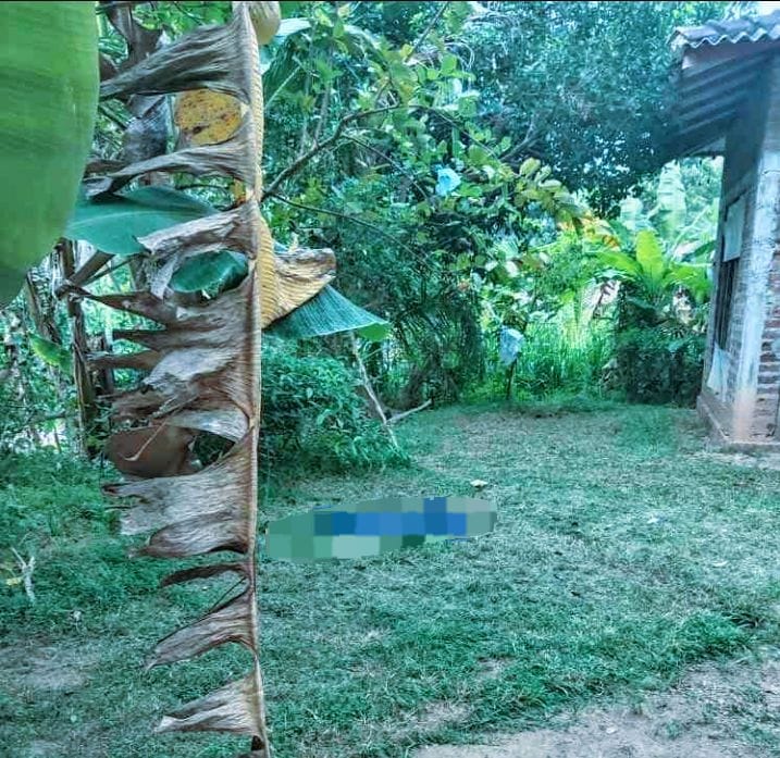 Kurunegala House and Land for Sale