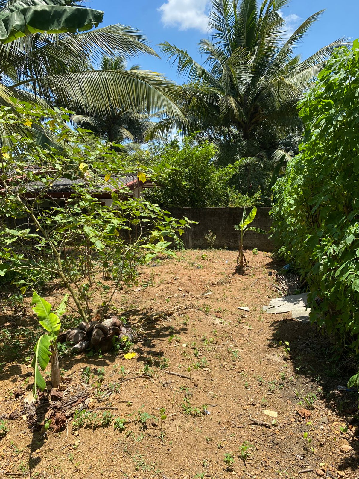 Land For Sale In Moragahahena