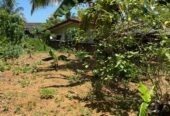 Land For Sale In Moragahahena