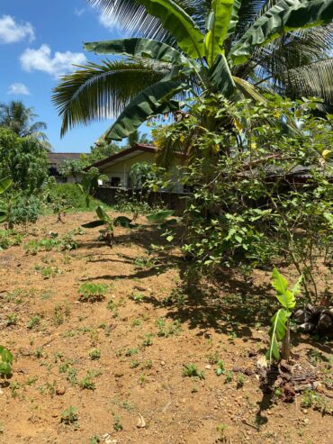 Land For Sale In Moragahahena