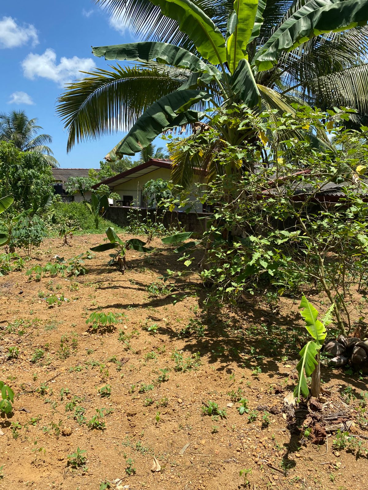 Land For Sale In Moragahahena