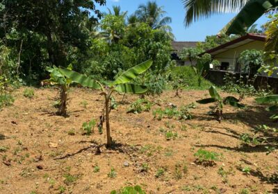 Land For Sale In Moragahahena