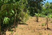 Land For Sale In Moragahahena