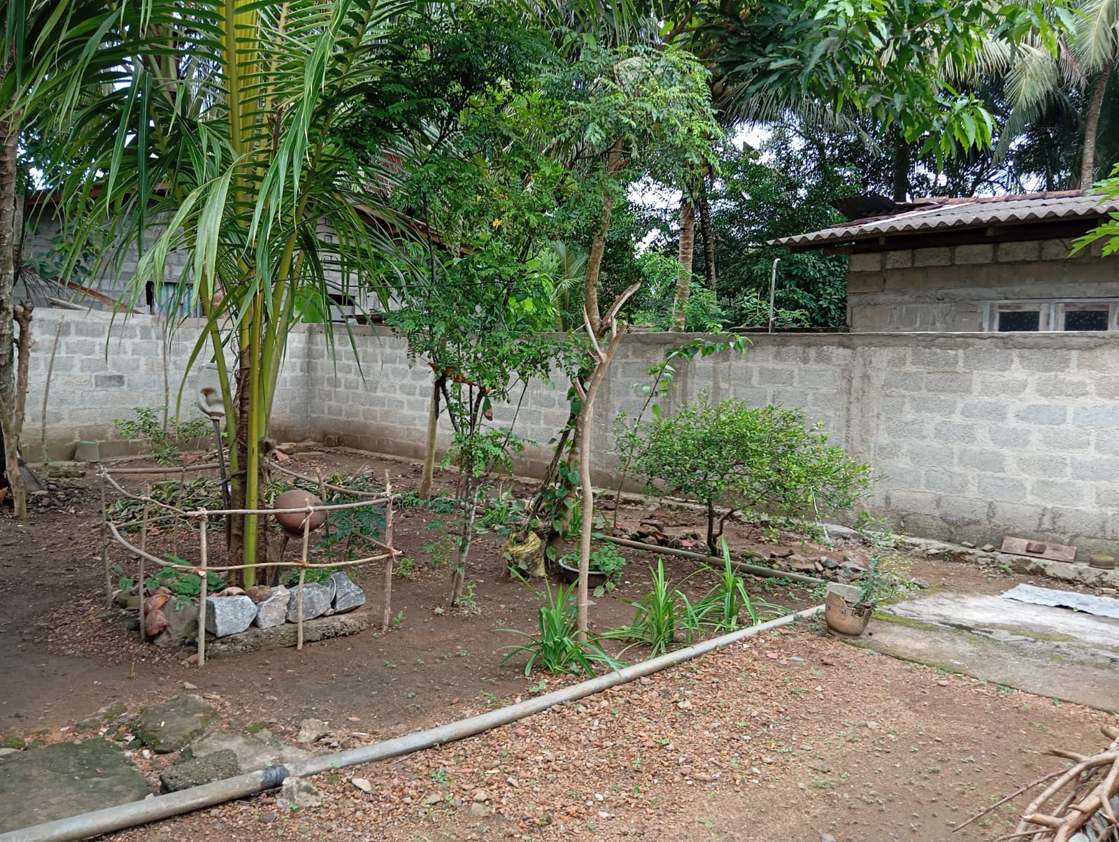 Land For Sale කෙසෙල්ලෙනාව