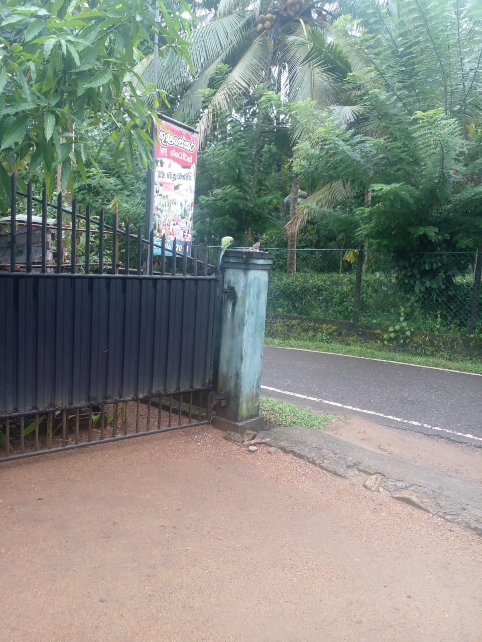 Land For Sale කෙසෙල්ලෙනාව