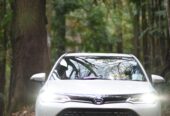 Toyota Raize Z Grade 2023