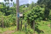 URGENT LAND SALE – MATARA,