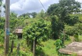 URGENT LAND SALE – MATARA,