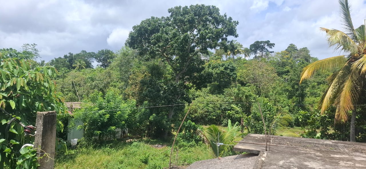URGENT LAND SALE – MATARA,