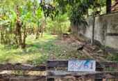 Residential Land for Sale in Kalagedihena