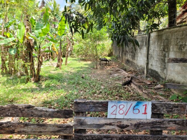 Residential Land for Sale in Kalagedihena