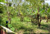 Residential Land for Sale in Kalagedihena