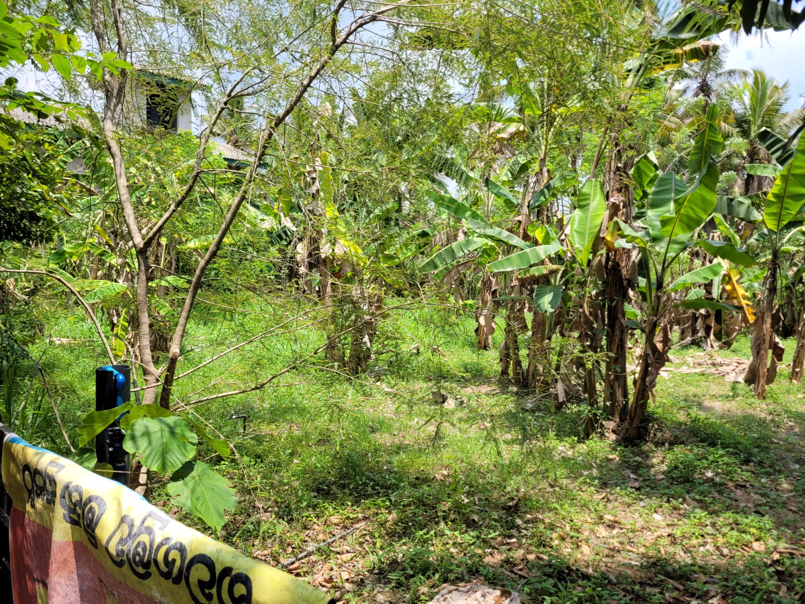 Residential Land for Sale in Kalagedihena