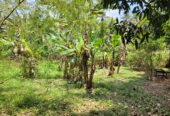 Residential Land for Sale in Kalagedihena
