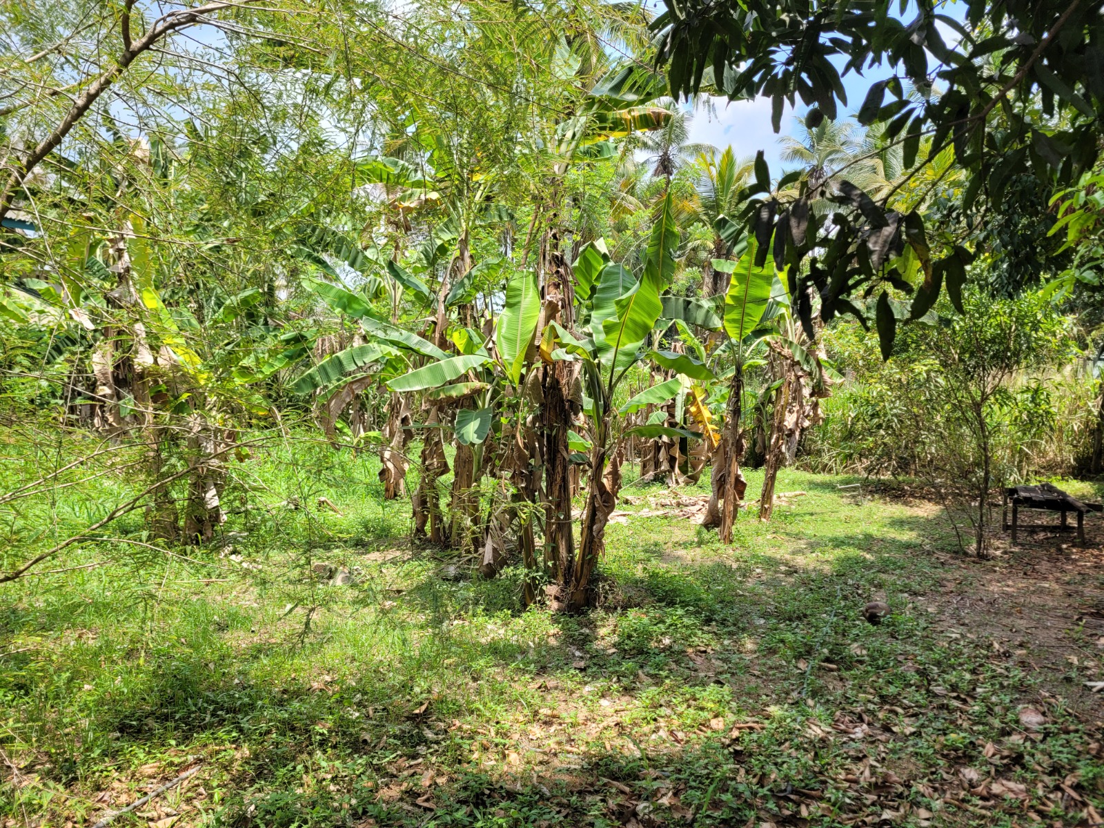 Residential Land for Sale in Kalagedihena