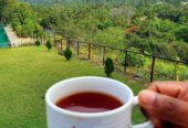 House For Sale Kandy
