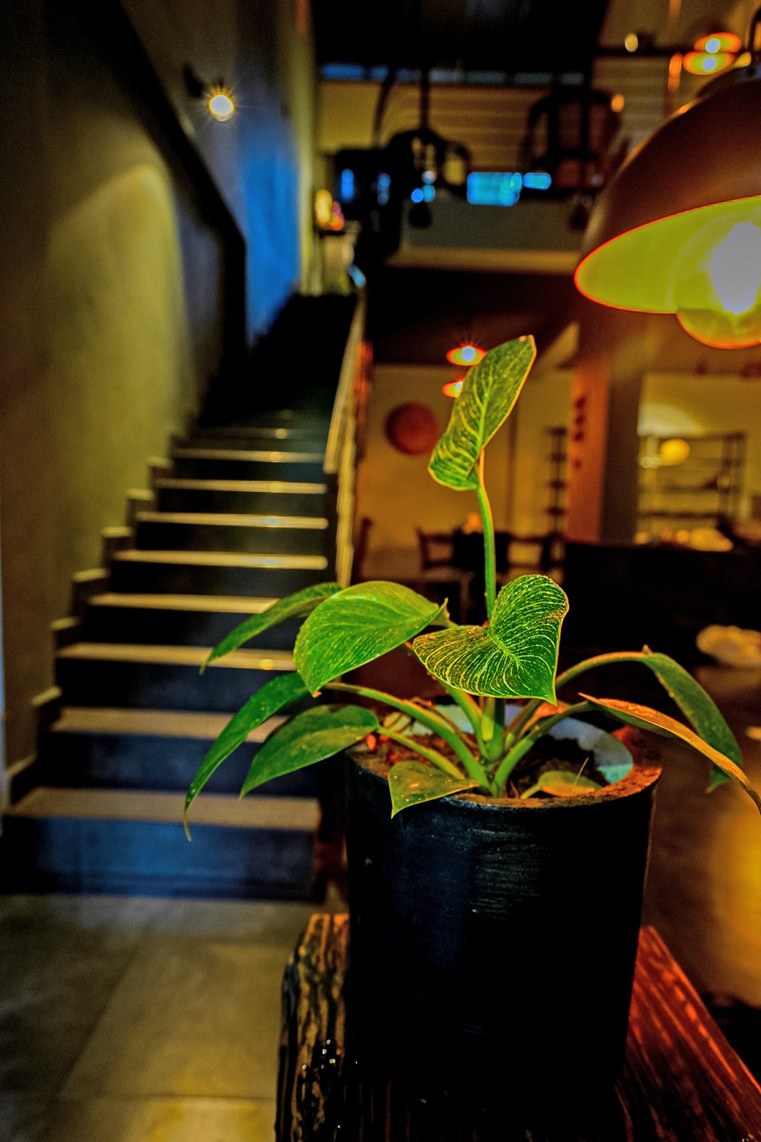 Villa for Sale in Hapugala, Galle (Brand New)