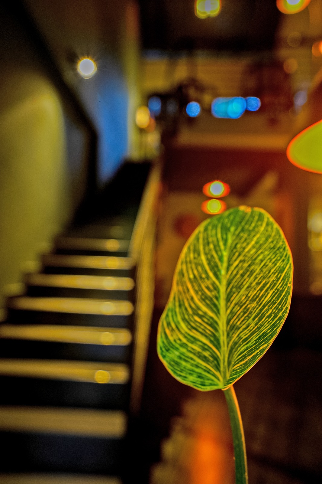 Villa for Sale in Hapugala, Galle (Brand New)