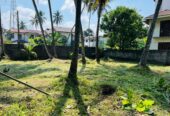 Land for Sale in Negombo