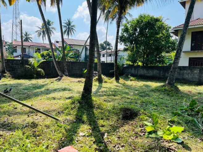 Land for Sale in Negombo