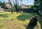 Land for Sale in Negombo
