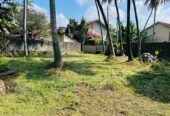 Land for Sale in Negombo