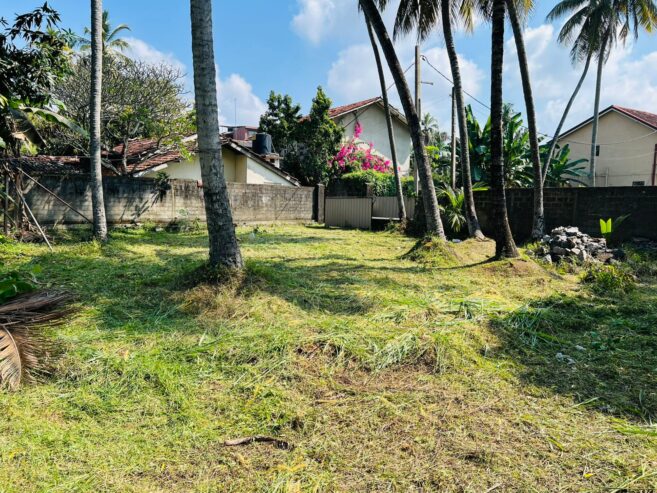 Land for Sale in Negombo