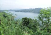 Bare Land for sale in Haragama