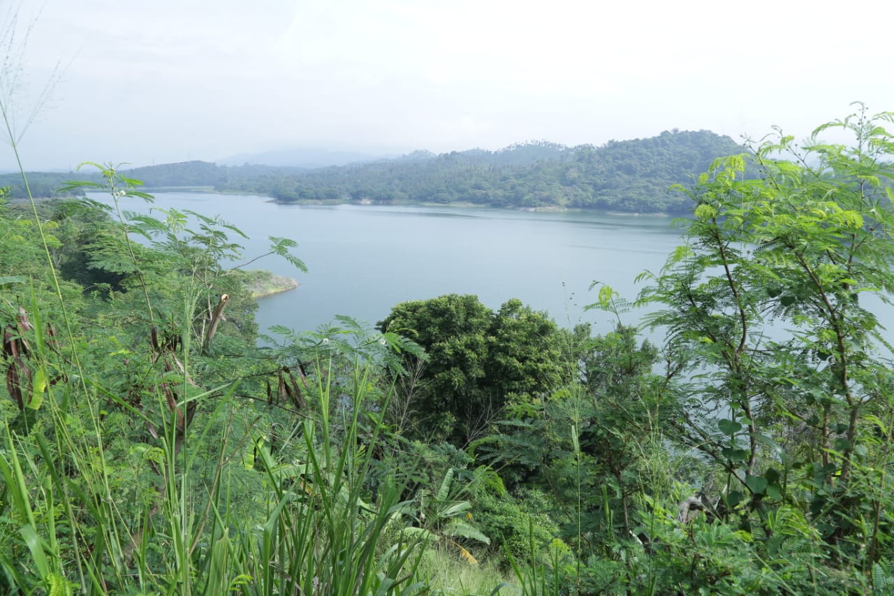 Bare Land for sale in Haragama