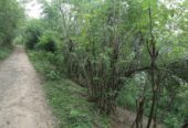 Bare Land for sale in Haragama