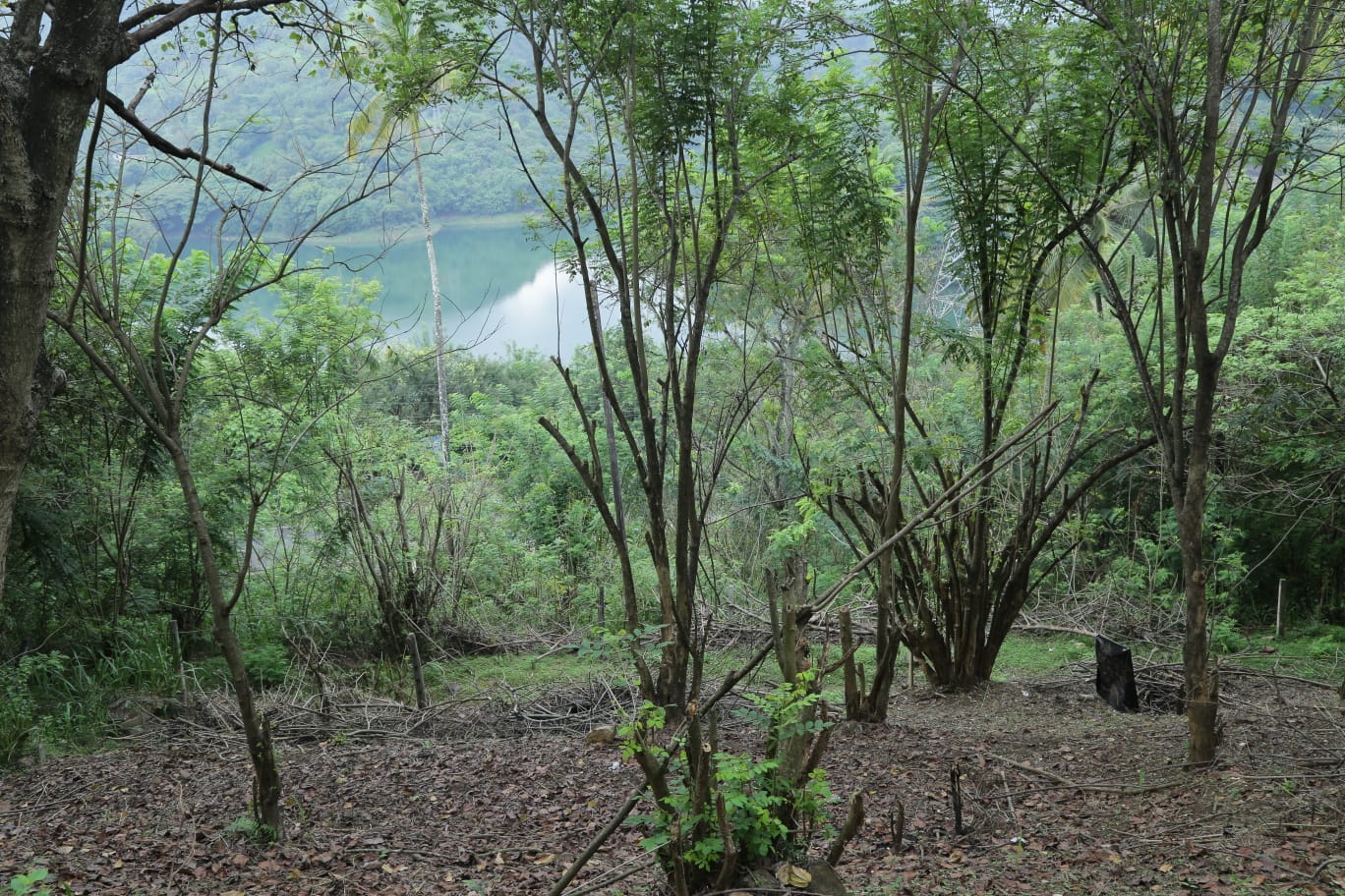 Bare Land for sale in Haragama