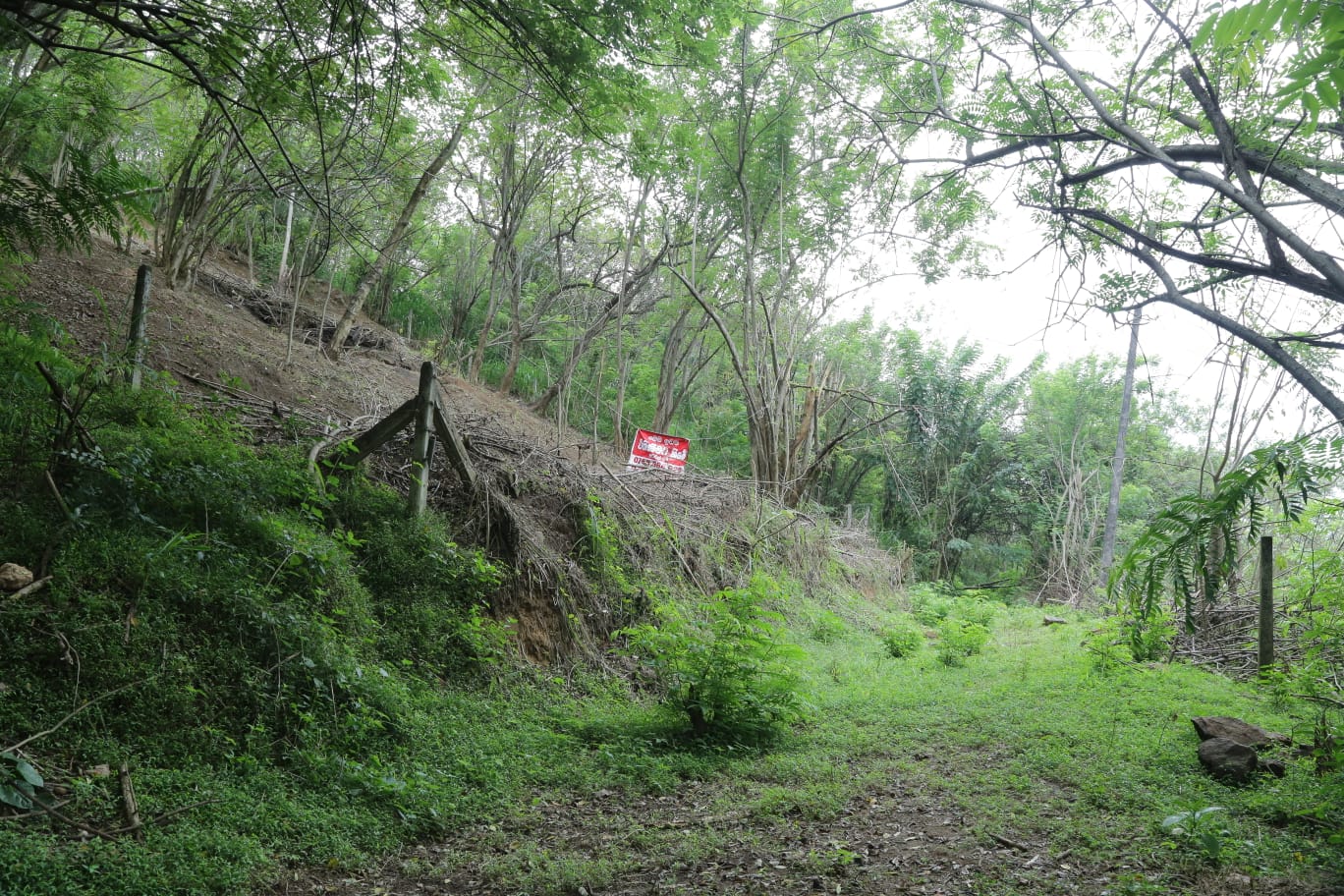Bare Land for sale in Haragama
