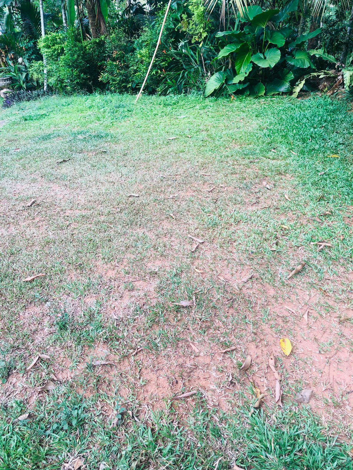 Residential Land for Sale in වලව්වත්ත , Mirigama