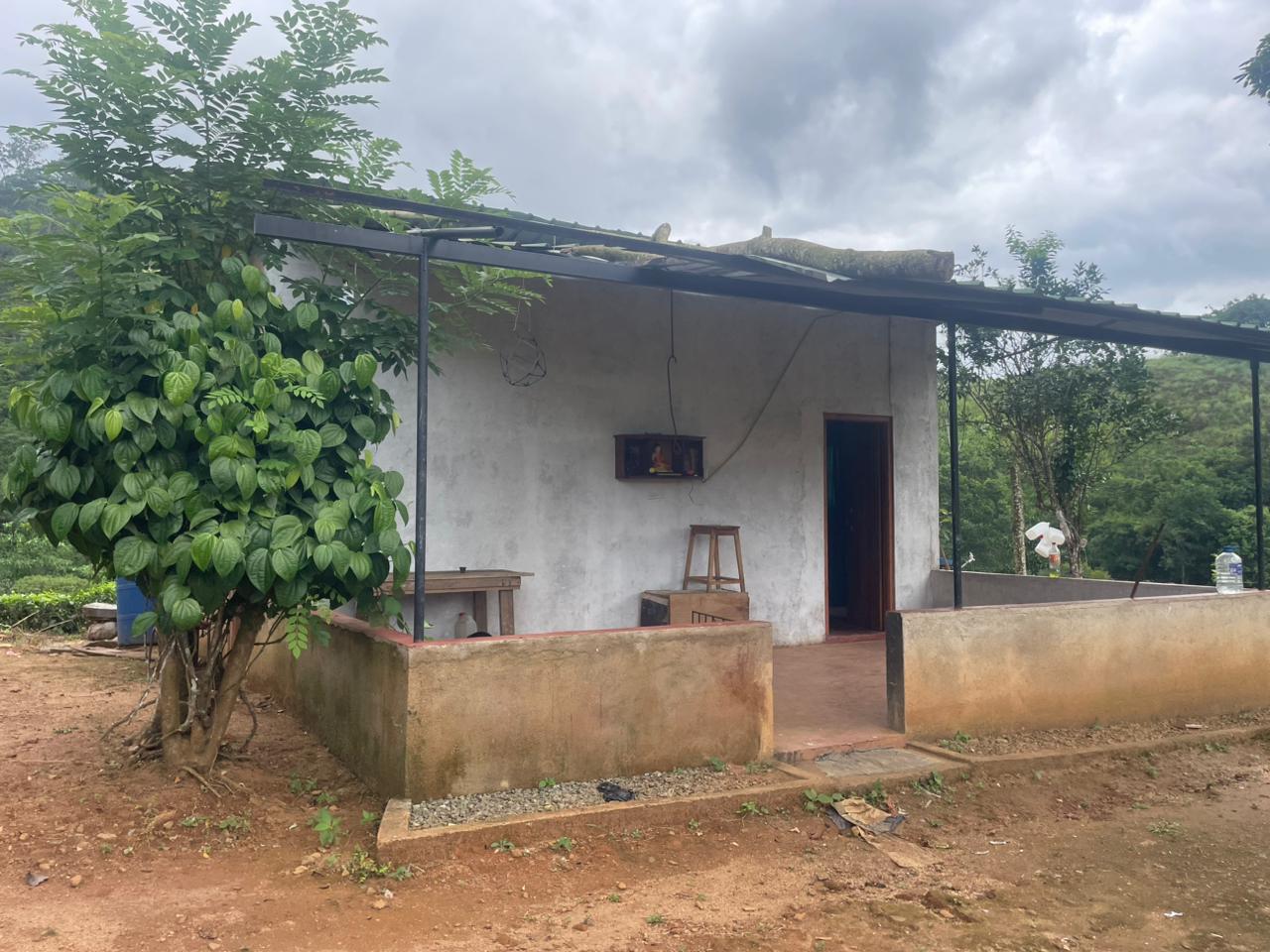 Tea Land for Sale in Nawalapitiya