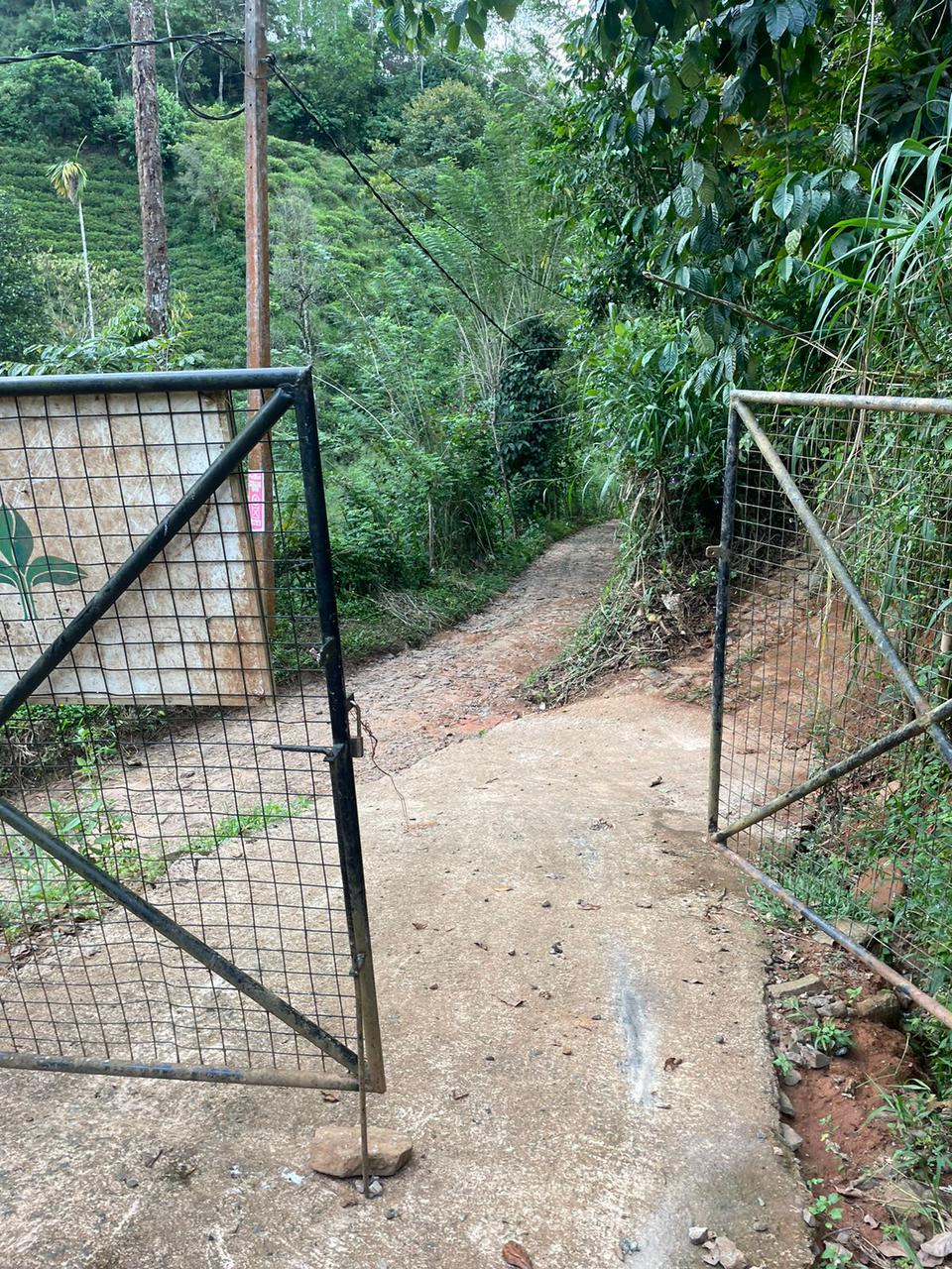 Tea Land for Sale in Nawalapitiya