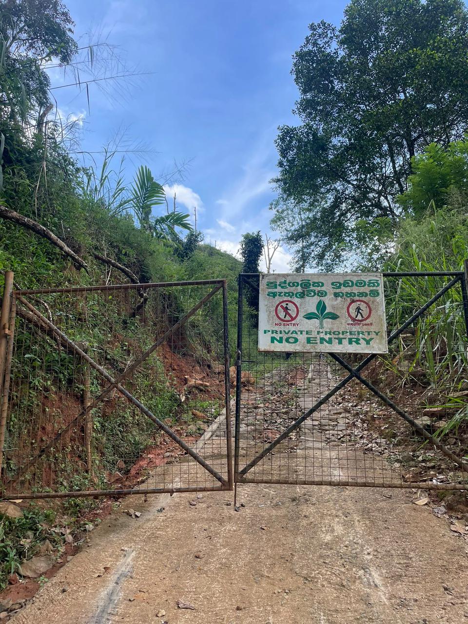 Tea Land for Sale in Nawalapitiya