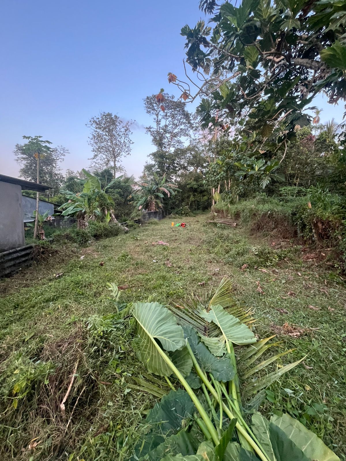 Commercial Land for Sale in Pitipana Homagama