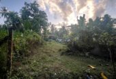 Commercial Land for Sale in Pitipana Homagama