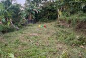 Commercial Land for Sale in Pitipana Homagama