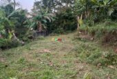 Commercial Land for Sale in Pitipana Homagama