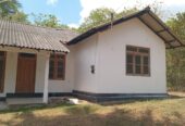 House with Land for Sale Narammala
