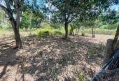 Land for Sale in Angunakolapelessa