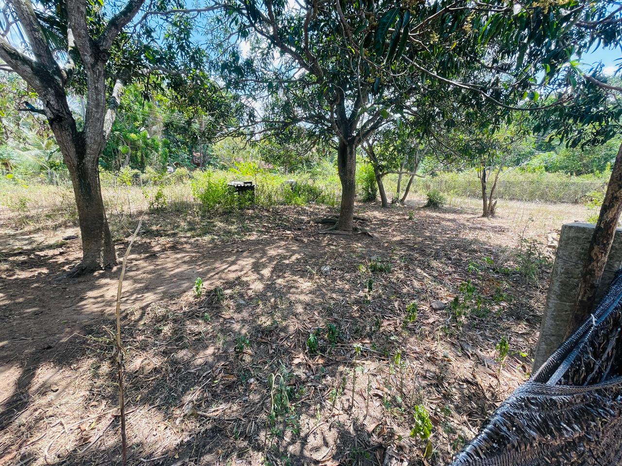 Land for Sale in Angunakolapelessa