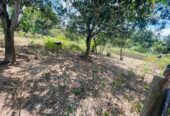 Land for Sale in Angunakolapelessa
