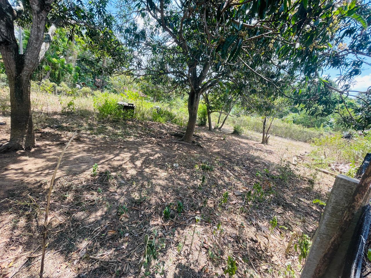 Land for Sale in Angunakolapelessa