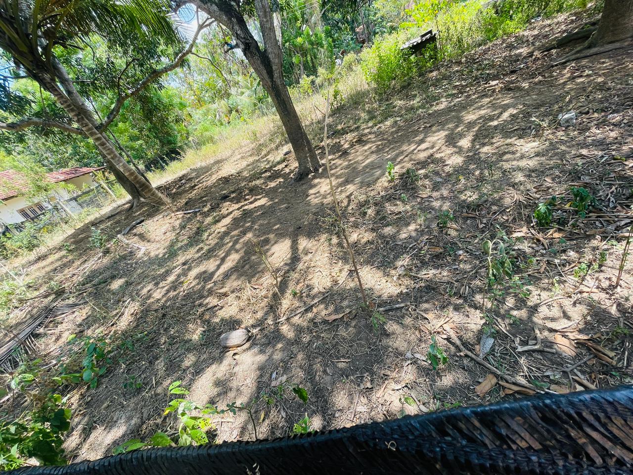 Land for Sale in Angunakolapelessa
