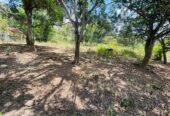 Land for Sale in Angunakolapelessa